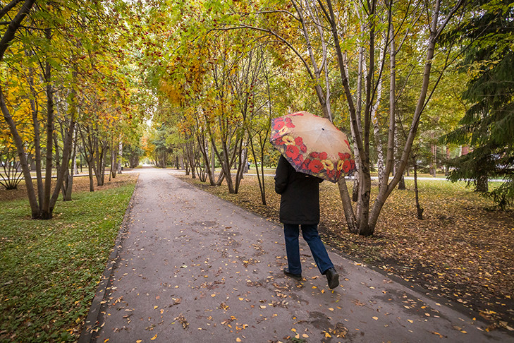 Тепло придет в Новосибирск в день Якова Дровопильца