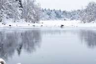 Под туристические проекты в Новосибирской области отвели 9 тысяч га