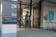 Новосибирский зоопарк объявил о росте цен на билеты из-за инфляции