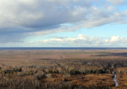 Васюганские болота станут огромной научной лабораторией