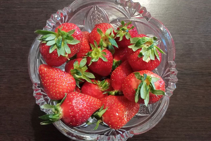 Секрет спасения садовой клубники после плодоношения раскрыла агроном Александрова