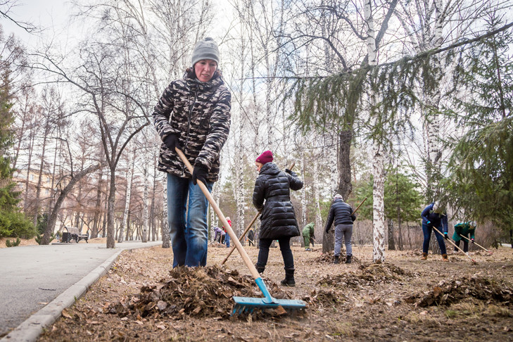 В парках Новосибирска запретили убирать опавшую листву