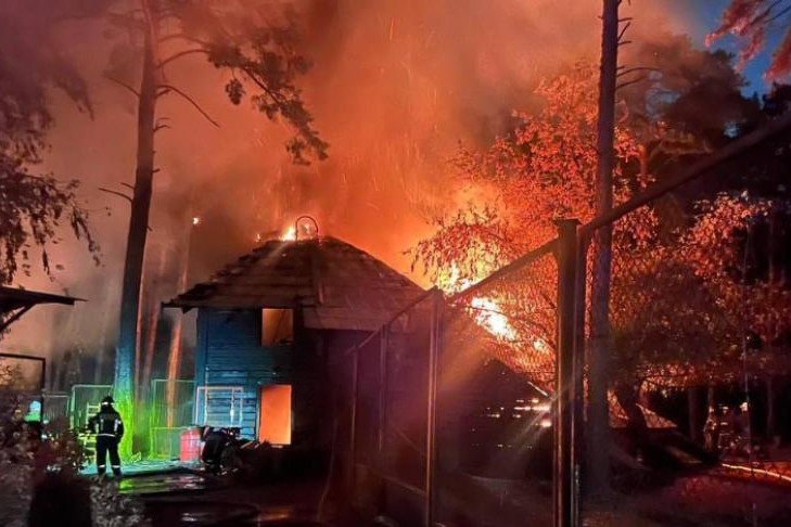 Новые вольеры после пожара установят в Новосибирском зоопарке