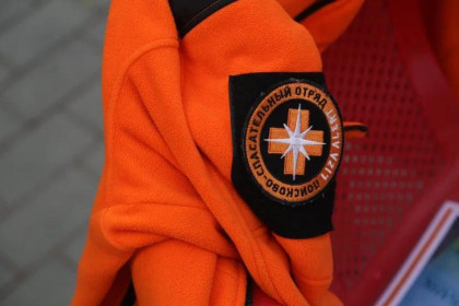 Немую школьницу в оранжевой кофте третий день ищут в Бердске