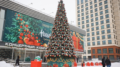 В Новосибирске установили 9 новогодних ёлок