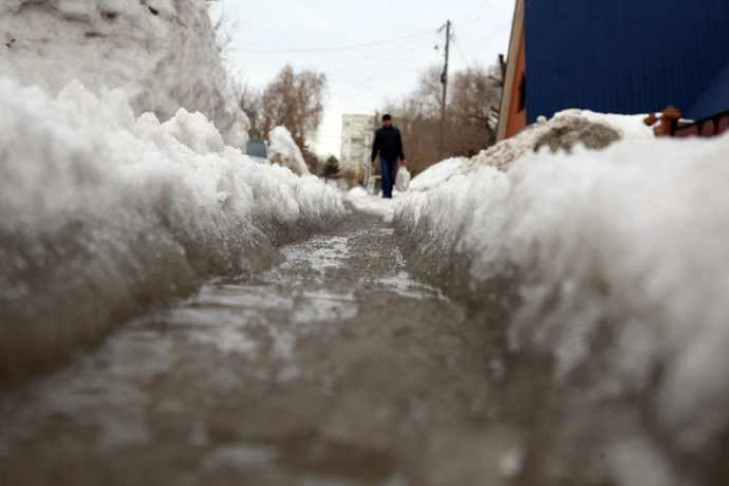 Потепление с мокрым снегом надвигается на Новосибирск с 28 марта