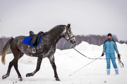 С трескучих морозов начнется февраль-2025 в Новосибирской области