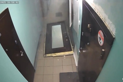 В Новосибирске собака взорвала квартиру и спряталась на балконе