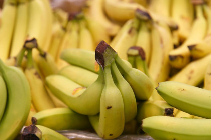 Бананы выращивает дома житель Новосибирска