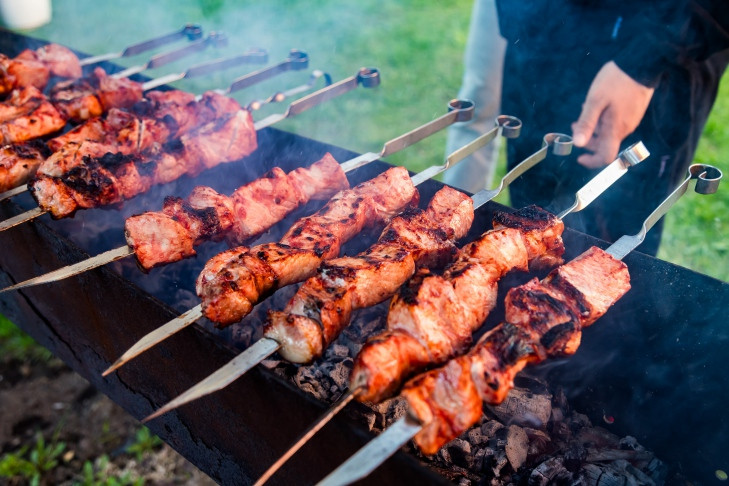 Жечь костры и готовить шашлыки на Первомай-2025 запретили новосибирцам