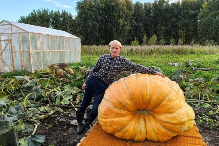 Тыква весом с бегемота из села под Новосибирском стала самой большой в России