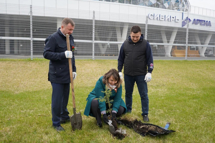 80 молодых елей высадили в Новосибирской области в честь 80-летия Победы в Великой Отечественной войне