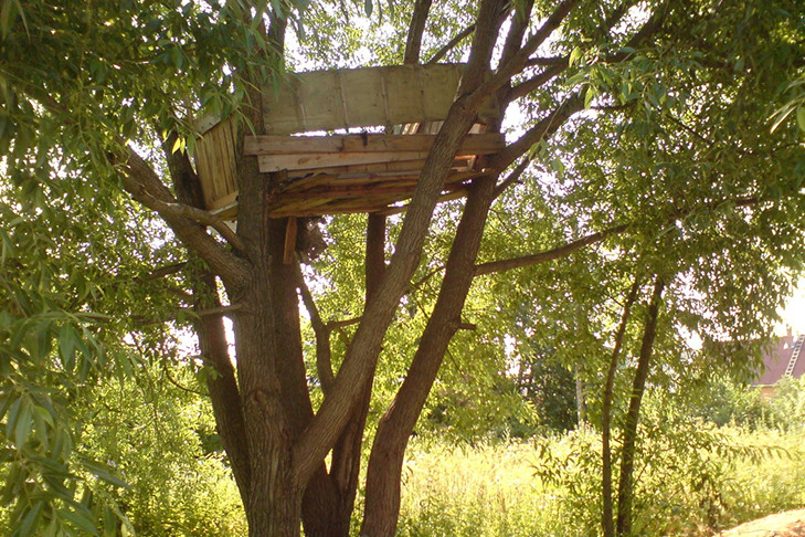 Школьник зацепился бедром за крюк и повис на дереве под Новосибирском