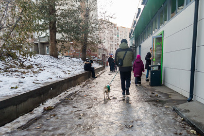 В Новосибирске похолодает до -12 градусов в день Якова Студеного 5 ноября