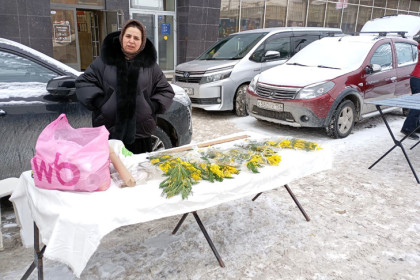 В Новосибирске цыгане начали торговать ненастоящей мимозой к 8 Марта-2026