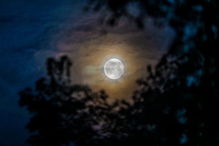 Первое весеннее полнолуние 2025: чего ждать от «Розовой Луны» 13 апреля