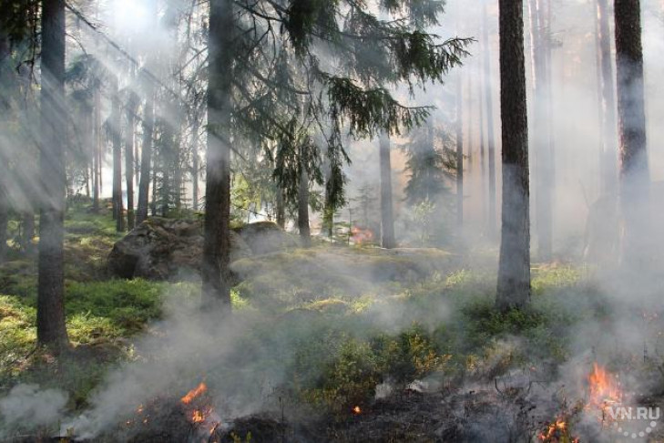 Тушить лесные пожары в России будут с помощью дождей