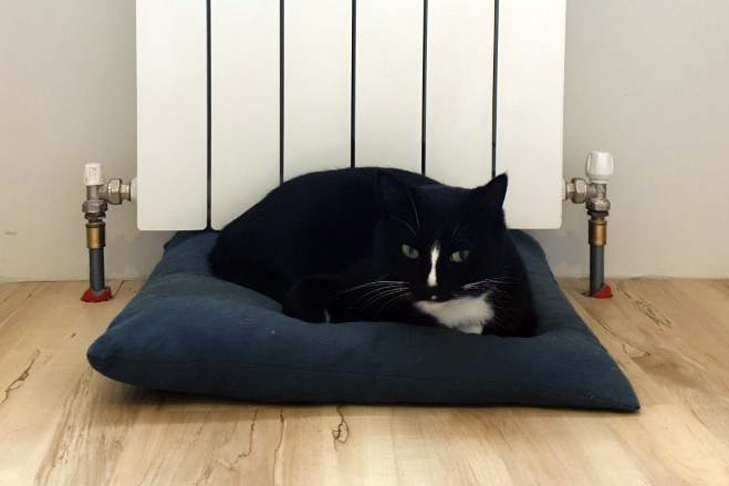 Новосибирцам вернули деньги за тепло и воду после массовых отключений в мороз