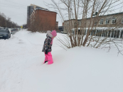 Прохладные ночи и теплые дни ждут бердчан в начале новой рабочей недели