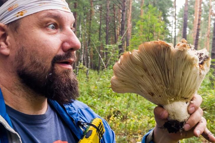 Минприроды прокомментировало штрафы 3 млн за сбор грибов в Новосибирске