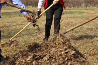 Вооружиться мётлами и граблями в преддверии праздников поручил Андрей Травников