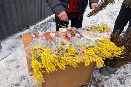 Первые мимозы по 300 рублей начали продавать к 8 Марта в Новосибирске