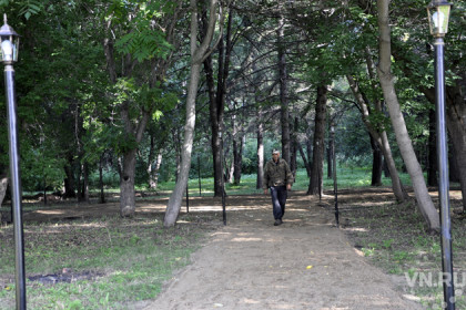 Парк с голубыми елями создал герой-фронтовик в родном селе