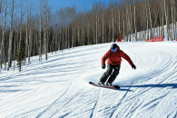 Новосибирская область привлекла инвесторов к проекту «Салаир»