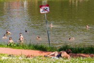 Одиннадцать детей утонули с начала лета в Новосибирской области