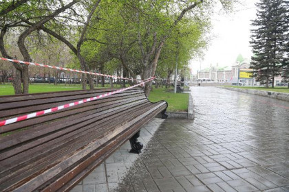 Режим самоизоляции продлен до 11 мая в Новосибирской области