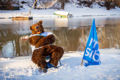 Медведи столкнулись с дефицитом берлог в Новосибирской области