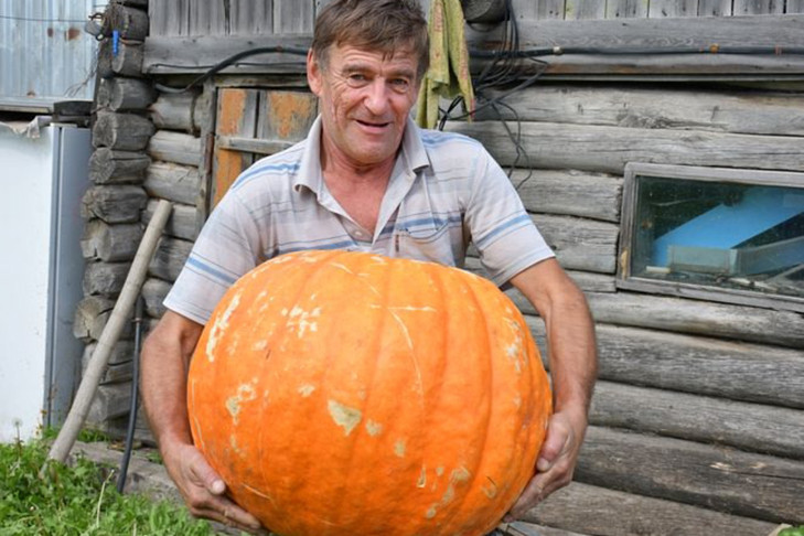 Огромную тыкву вырастил и с трудом смог поднять житель Новосибирской области