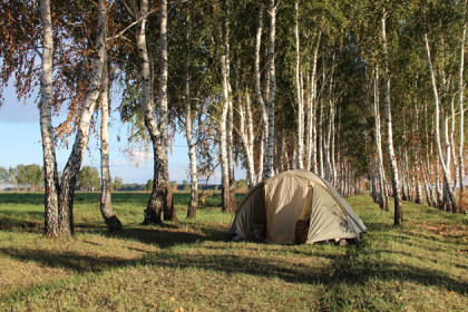 Подростки открыли стрельбу в палаточном лагере под Новосибирском
