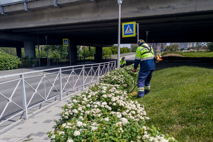 На борьбу с пылью и новые газоны в Новосибирске выделят 135 млн