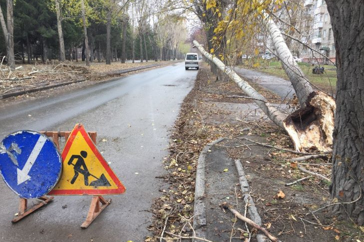 Почти 100 населенных пунктов остались без света из-за стихии в Новосибирской области
