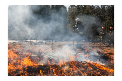 Спасатели тренируются тушить пожары в лесах НСО