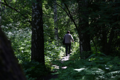 Рекордное количество покусов клещей зарегистрировали в Новосибирской области