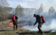 В Новосибирской области усилен мониторинг пожароопасной обстановки