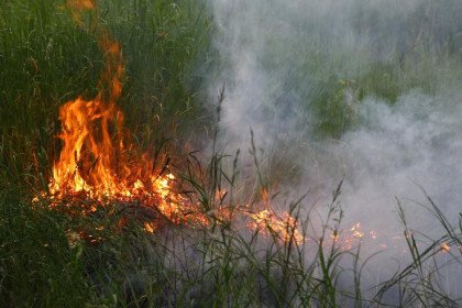 Природные пожары угрожают юго-западу Новосибирской области