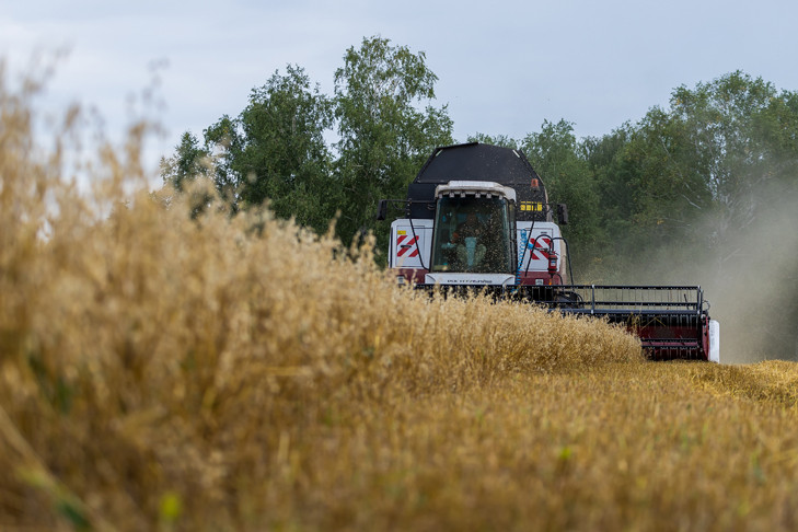 Уборочная кампания-2025 завершается в регионах Сибири