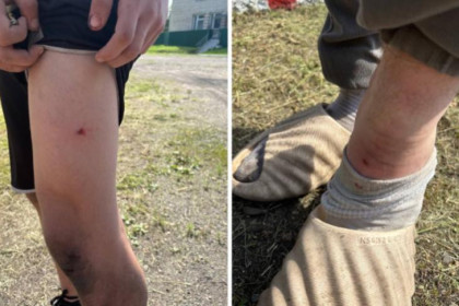 Давняя история: стали известны подробности группового избиения детей в Мошково