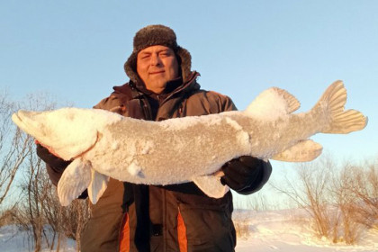 Рыбак из Новосибирска через 10 лет вновь поймал в Ине знакомую щуку