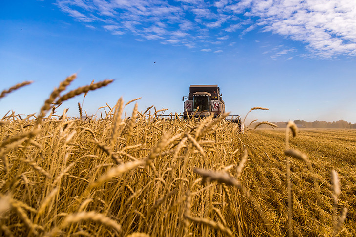 Экспорт сельхозпродукции из Новосибирской области за 2023 год вырос почти на 400 тысяч тонн