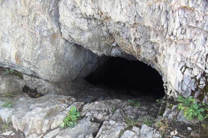 Сурки подобрались к пещере с летучими мышами у реки Укроп