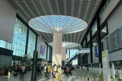 У новосибирцев резко вырос спрос на Вьетнам и Японию