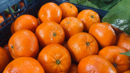 Врач предупредила новосибирцев о рисках переедания мандаринов