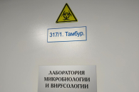 ВОЗ заговорила о новой инфекционной угрозе: что известно о хантавирусе и есть ли риски для России