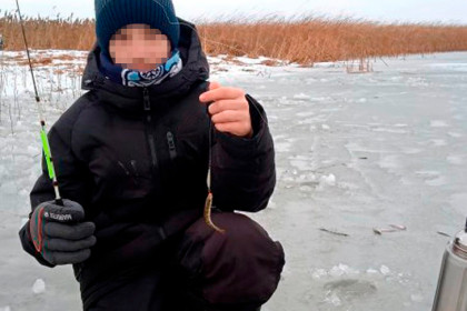 Жители Новосибирска захейтили рыбака с ребенком на реке Махалиха