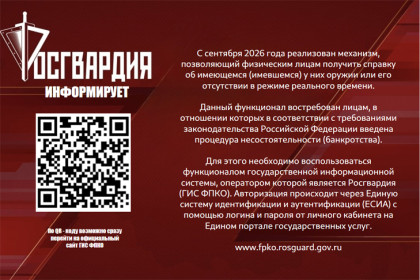 Росгвардия информирует: справку о наличии или отсутствии оружия можно получить дистанционно