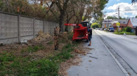 Октябрьский район в Новосибирске озеленили